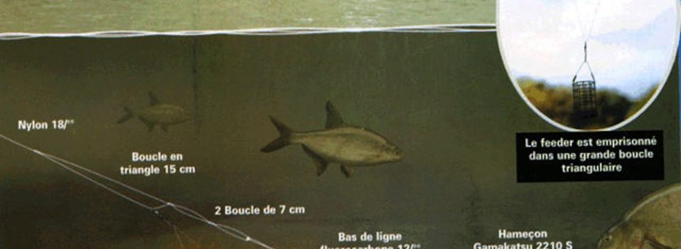 Comment pêcher au feeder 2