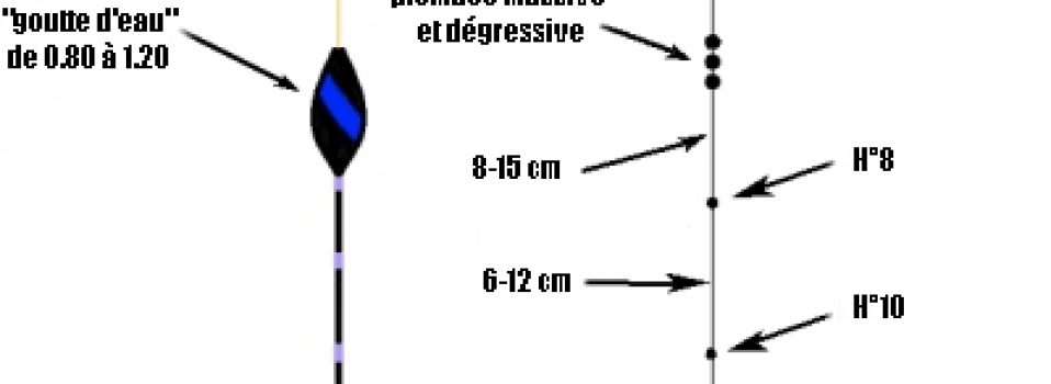 Comment pêcher le gardon 2