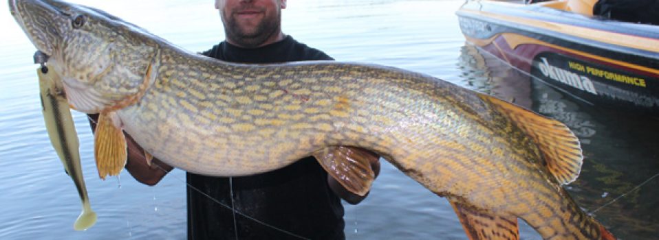 Quand pêcher le carnassier 2