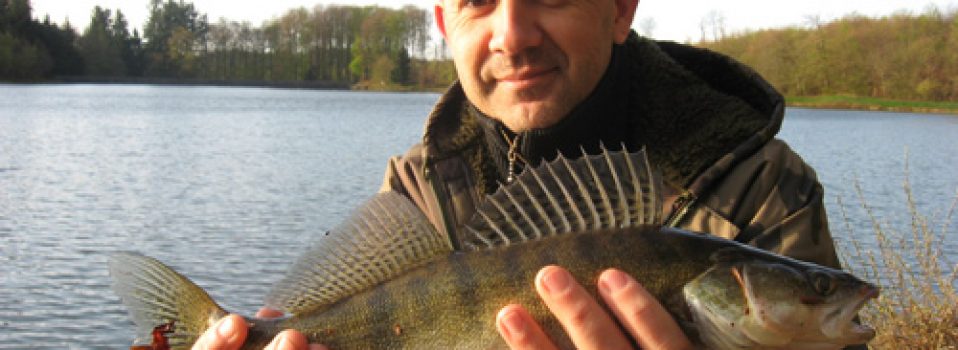 Quand pêcher le sandre 2